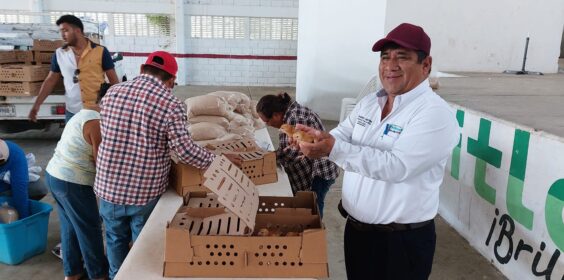 Entrega de Pollitos de Engorda y pollitas Ponedoras a productores del municipio